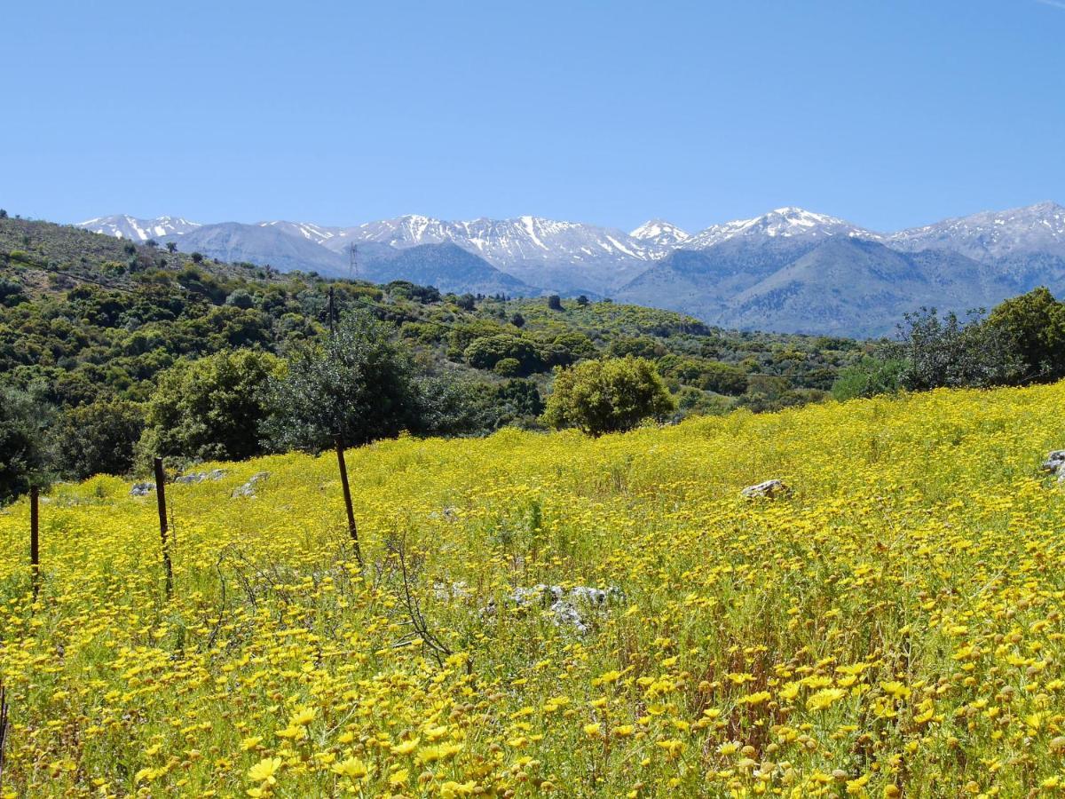 Villa Amvrosia Nr Kalives Crete Arménoi 외부 사진